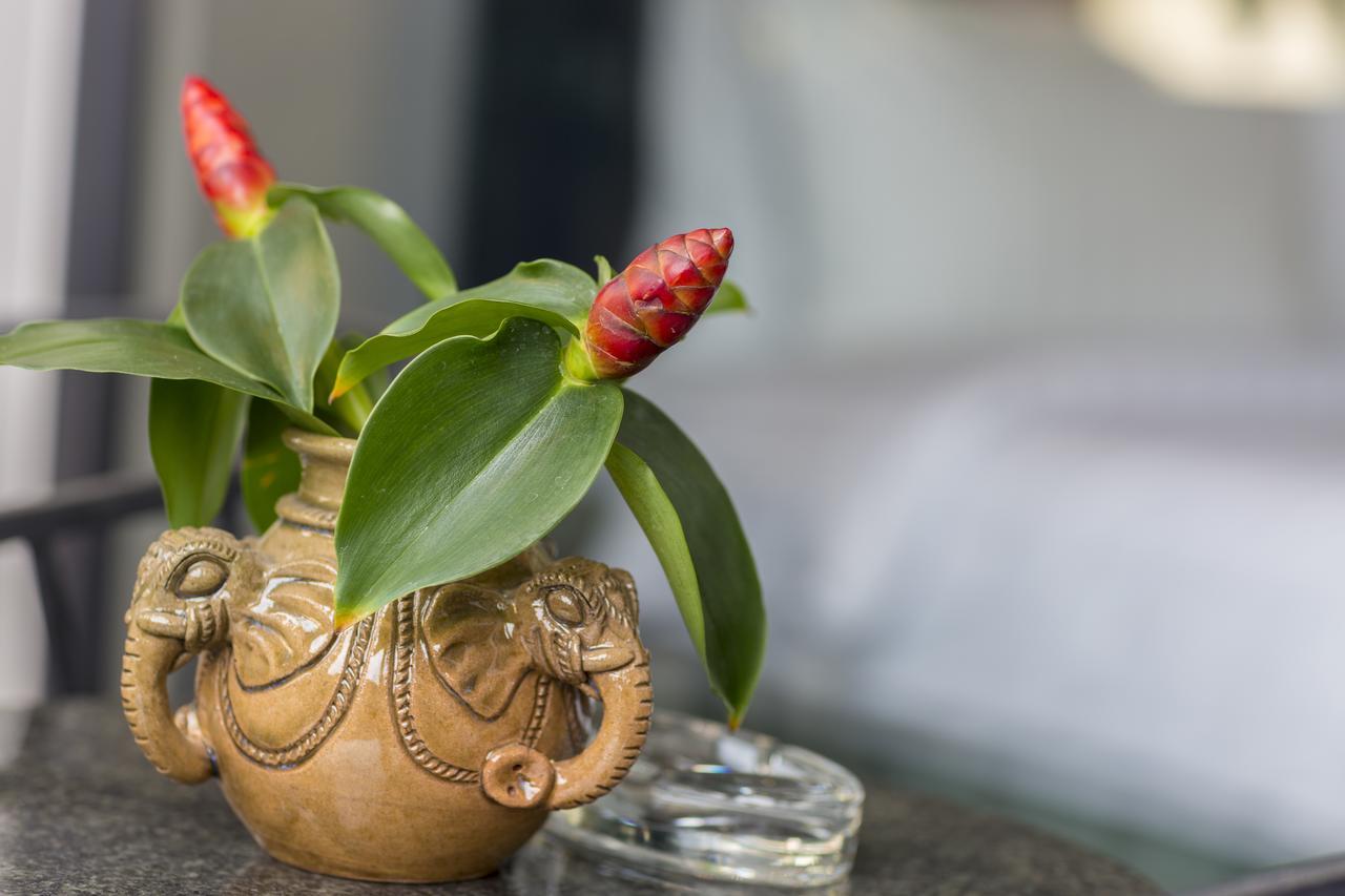 סיאם ריפ Elia Boutique Hotel מראה חיצוני תמונה